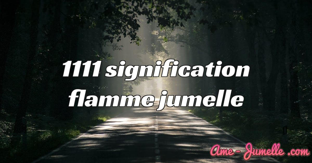 1111 signification flamme jumelle