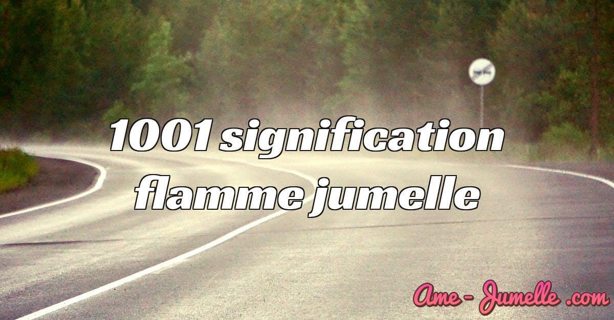 1001 signification flamme jumelle