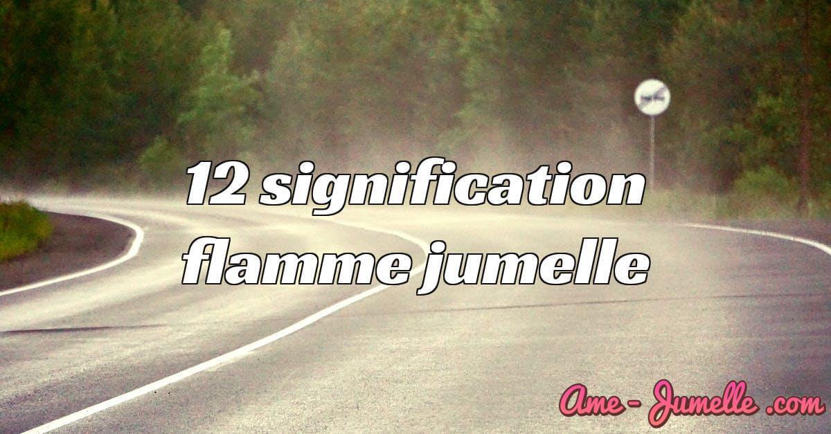 12 signification flamme jumelle