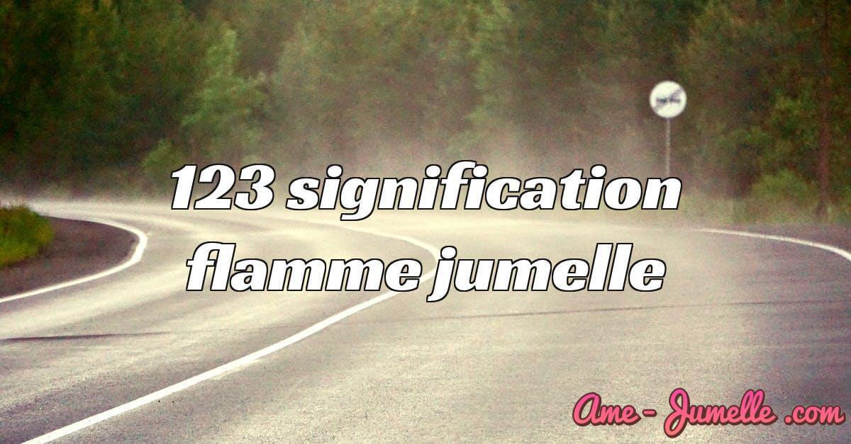 123 signification flamme jumelle