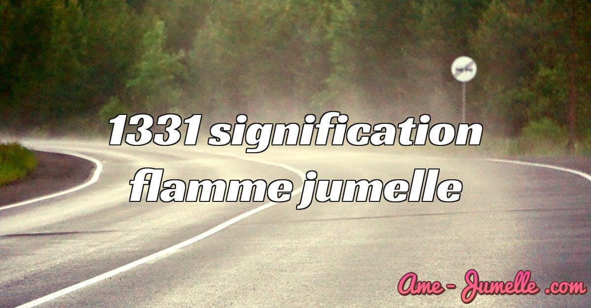 1331 signification flamme jumelle