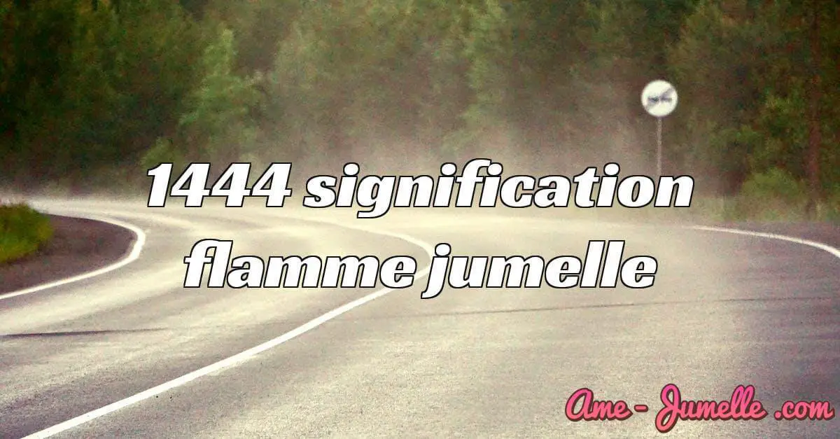 1444 signification flamme jumelle