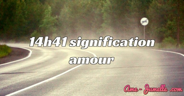 14H41 Signification Amour | Ame Jumelle